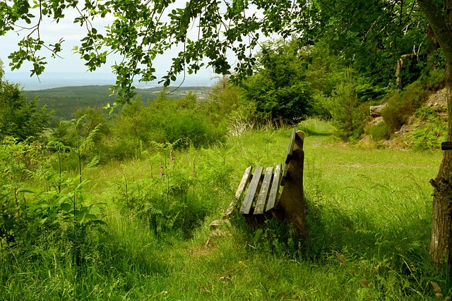 的发展势头 的发展势头
