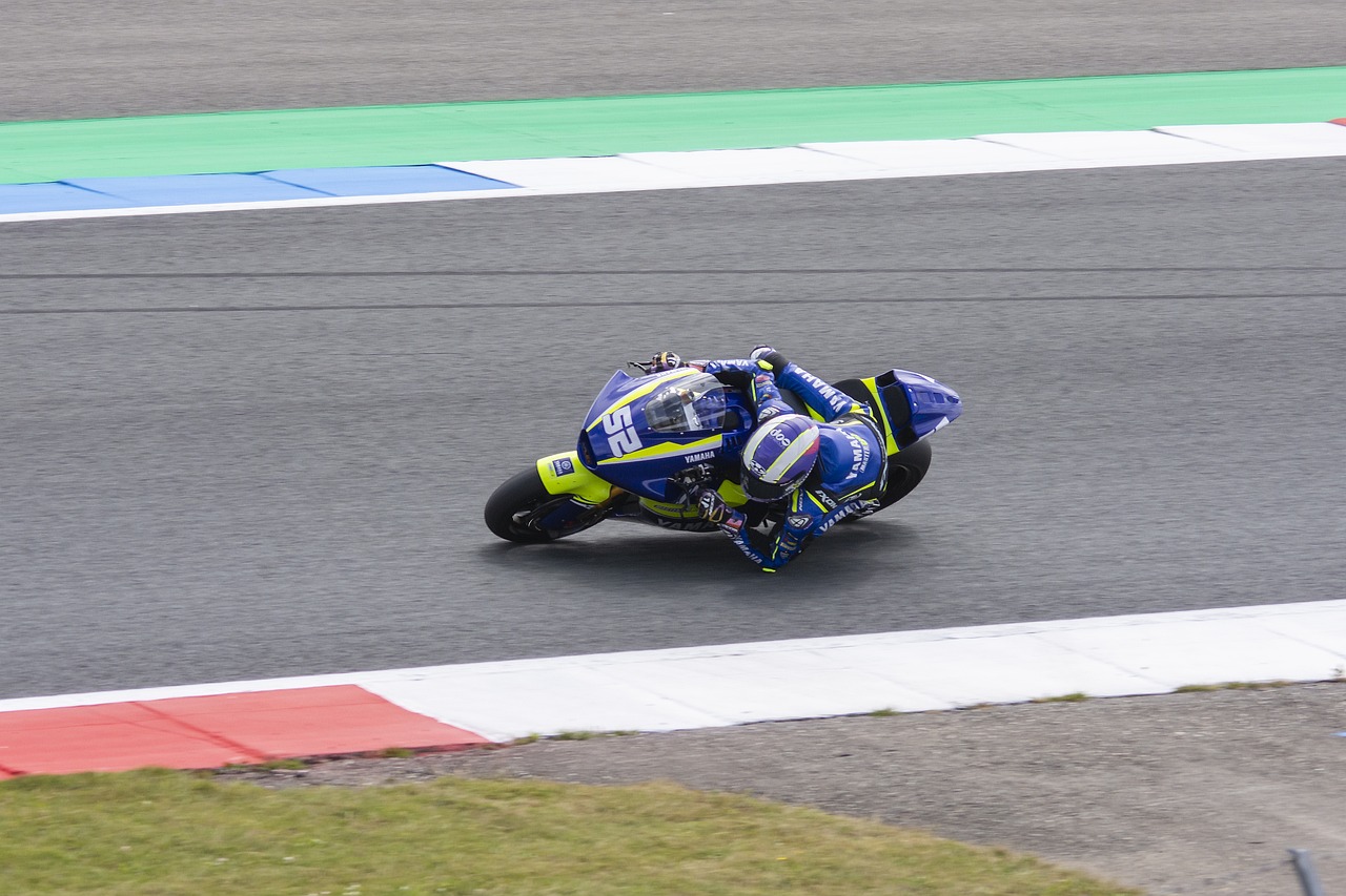 的培养上见 的培养上见